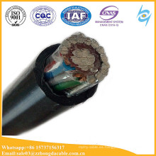 Cable de servicio concéntrico aéreo 2x6mm2 10mm2 16mm2 con el cable de comunicación